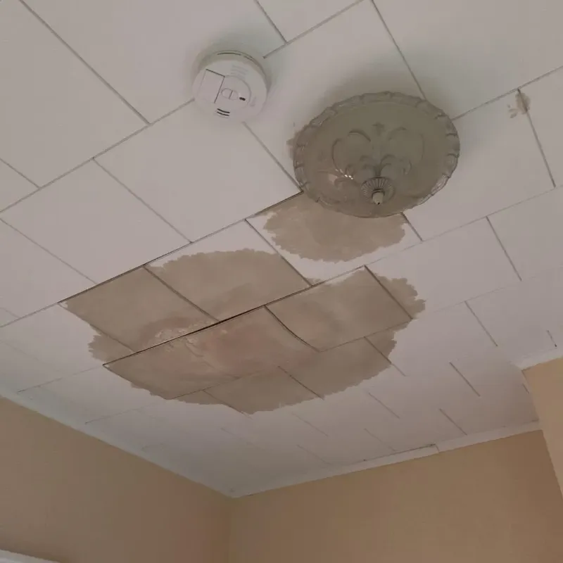 Ceiling Water Damage Repair in Christiansburg, VA