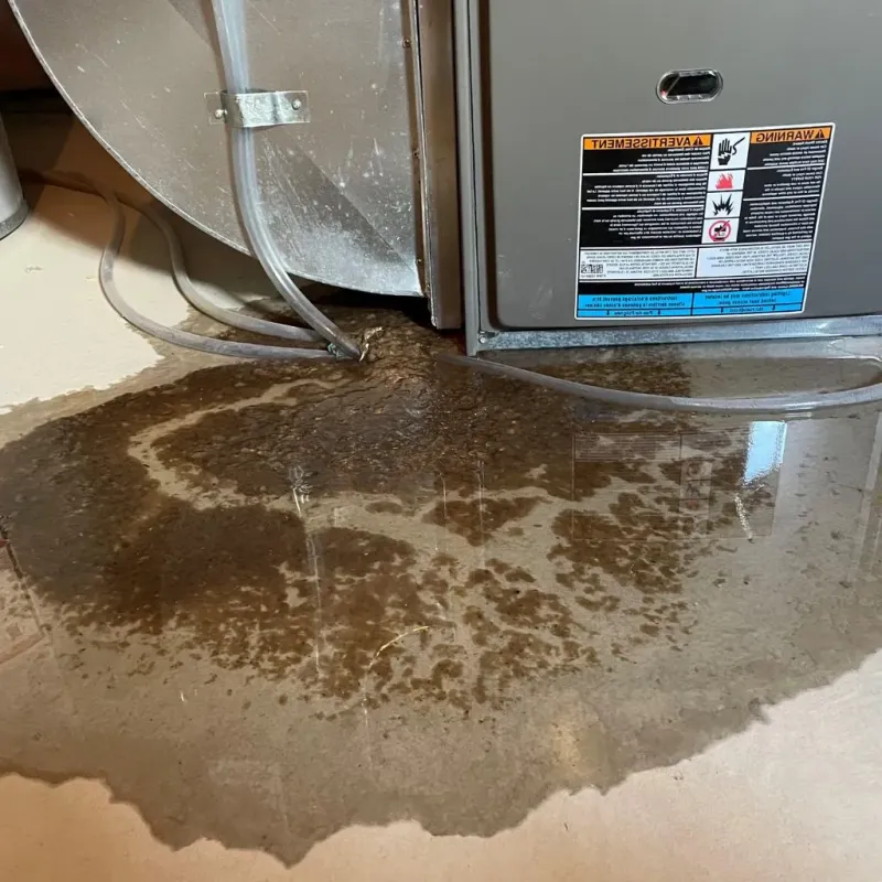 Pipe Burst and Leak Restoration in Christiansburg, VA