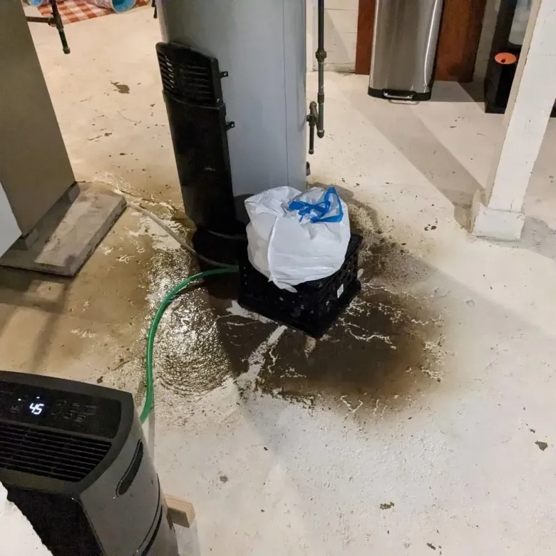 Sewage Backup Cleanup Service in Christiansburg, VA